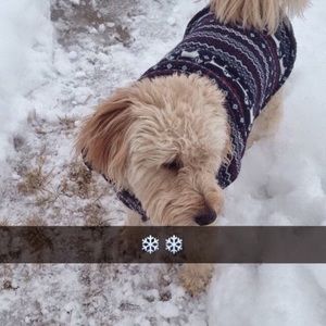 Meet your Posher, Sarah